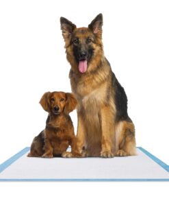 Ultra Absorbent Odor Control Training Pads For Dogs Leak-proof Quick Dry Gel – Extra Large 30 x 28 Pee Pads - Fresh Scented - 50 Count, Pack of 1 XL 30" x 28" - 50 Count, Pack of 1 21 816lBgCcDUL