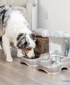 Petmate Pet Cafe Feeder Dog and Cat Feeder Pearlescent Colors 3 Sizes, Made in USA 6 lb. Pearl Tan 30 816tgh1WcL