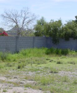 BLACK+DECKER 20V MAX String Trimmer, 2-Speed, 12-Inch, Cordless (LST522) 20V String Trimmer Kit 44 816vZcGBW7L