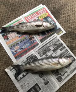 KastKing Fluorokote 100% Fluorocarbon Fishing Line, Fluorocarbon Leader, Extreme Clarity, Fast Sinking, Shock Resistant, High Abrasion Resistance, Available in 150 and 300 YD Spools 15LB(6.8KG) 0.33mm-300Yard 36 816zkv2Ii7L