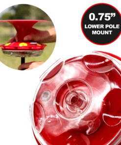 Roamwild Hanging Hummingbird Feeder for Outdoors with Double Moat Guard Technology | 5 Feeding Stations with Quick Easy Filling Port | 20 fl oz Nectar Large Capacity - Purple Petals (Yellow) Yellow 25 8174mCAu1L