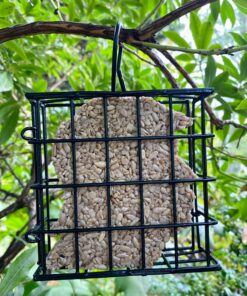 More Birds Suet Cage Bird Feeder, Fruit and Suet Feeder, Single Cake Capacity ,Black Black 30 8178KahVIpL