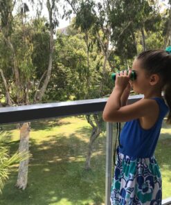 Binoculars for Kids 8x21 High-Resolution - Kids Binoculars Gift Set for Boys & Girls, Shockproof & Compact for Bird Watching, Travel, Hiking, Camping, Hunting, Children Outdoor Gear Green/Blue 38 8179svMmeiL 1