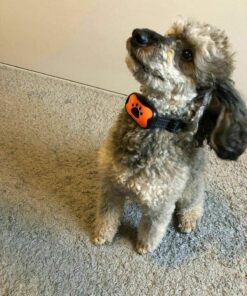 StopWoof Dog Bark Collar - Humane Care Modes, Vibration & Sound - No Shock Training Device For Small, Medium, Large Breeds - No Harm Deterrent Vibrating Control - Reflective & Automatic Without Remote 32 817Aob2eQL