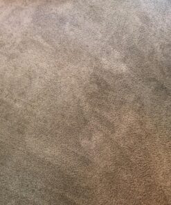 BISSELL Professional Power Shot Oxy Carpet Spot and Stain Remover, 14 ounces, 95C9 47 817DTMvhjAL