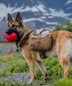 OneTigris Dog Pack Hound Travel Camping Hiking Backpack Saddle Bag Rucksack for Medium & Large Dog (Brown, Large) 11.4"L x 8.7"W x 2.4"H Brown 33 817I1IYcn L