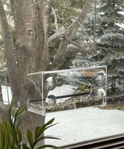 Large Clear Window Bird Feeder - Extended House with Strong Suction Cups - Steel Perch Sliding Feed Seed Tray - See Through Transparent Big Birdhouse - Wild Finch, Cardinal, Blue Jay - Cool Cat Gift 94 817JYJIIxaL