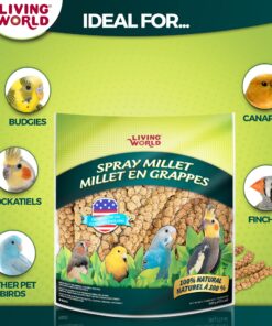 Living World - Spray Millet, 17.6 Oz – Premium Treat for Budgies, Canaries, Finches, Cockatiels and Other Pet Birds 1.1 Pound (Pack of 1) 15 817MDi7UjL