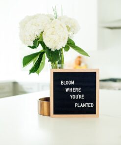 Rivi Retro Felt Letter Board - 344 Changeable Characters & Premium Oak Frame - Vintage Message Board with Storage Bag - Create Inspirational Quotes, Fun Signs & Romantic Notes - Perfect Gift Idea 17 817Nz12K01L