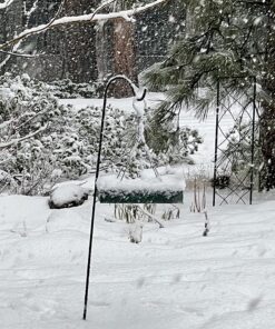 Woodlink Going Green Platform Bird Feeder Model GGPLAT 45 817U5qe KTL