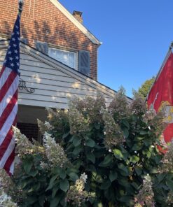 Marine Corps Flag by USA Flag Co. is 100% American Made: The BEST 3x5 Outdoor USMC Flag, Made in the USA - For Prime Members and Amazon A to Z Guarantee. (3 by 5 foot) 27 817WlPdpqBL