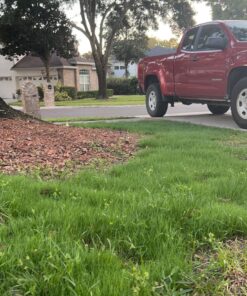 Scotts EZ Seed Patch & Repair Sun and Shade Mulch, Grass Seed, Fertilizer Combination for Bare Spots and Repair, 20 lb 20 lb. 1 Pack 47 817XT0mTYTL 1