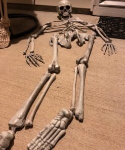 Kangaroo Halloween Bag of Skeleton Bones and Skull- Halloween Graveyard Props- Haunted House Lawn Yard Decorations- Scary Halloween Decorations 30 Pieces Bag of Plastic Bones 41 817aQ3gO6YL