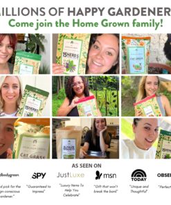 90,000 Wildflower Seeds - 3oz Pure Wild Flower Seed Pack - 25 Variety - Perennial Flower Seeds for Attracting Birds & Butterflies - Open Pollinated, Flower Garden Seeds for Planting Outdoors Perennial (3oz) 37 817beX6aAfL