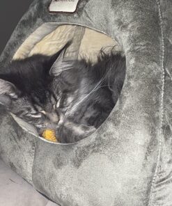 Armarkat Cat Bed, Laurel Green and Beige 44 817bsIvv KL