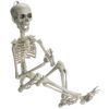 Prextex Skeleton Halloween & Day of The Dead Decoration for Home and Office - 19 Inch Posable Plastic Small Skeleton Toy Halloween Décor with Movable / Bendable Joints and 2 Sets of Body Accessories 19 inches