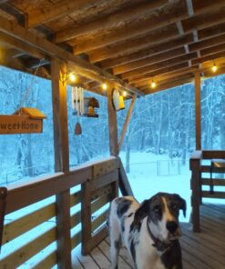 Foxlux String Lights - 48 ft LED Outdoor String Lights - Shatterproof, Waterproof Pergola Lights - 15 Hanging Sockets, Light Sensor, Edison Bulbs - Decor for Patio, Backyard, Garden, Bistro 51 817kE39If0L