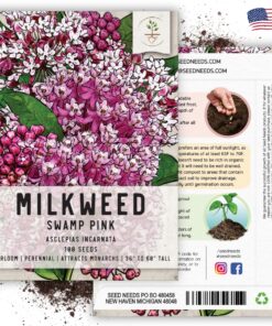 Seed Needs, Pink Swamp Milkweed Seeds for Planting (Asclepias incarnata) Heirloom, Open Pollinated & Untreated, Attracts Monarch Butterflies (2 Packs) 2 Packs (200 Seeds) 24 817miJGnoML 2
