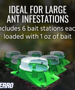 Terro 1806 Outdoor Liquid Ant Baits, 1.0 fl. oz. - 6 count 27 817nIg1aQNL