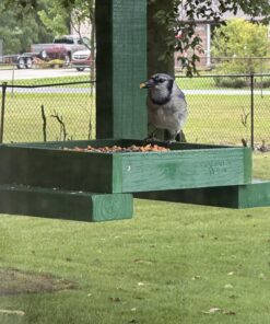 Nature's Way Bird Products CWF3 Cedar Platform Tray Bird Feeder 12" x 12" 12" x 12" 33 817nXBNVGHL