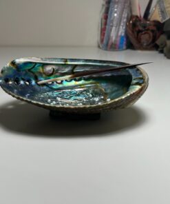 Hand Selected Abalone Shell, 6 Inches or Larger. Perfect for Holding Incense, Trinkets, and More 33 817pnAn4CvL