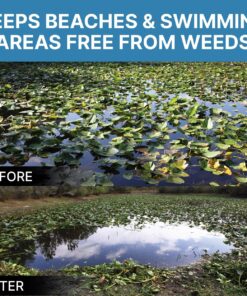 Jenlis The Original Weed Razer, Lake Weed Cutter, Large Pond Aquatic Plant Cutting Tool, Long and Sharp Razor Blades Shear Cattail, Reed, Lilly & Chara Algae, 48 Inch Cut Width, 25 Foot Throw Rope Jenlis Weed Razer Aquatic Weed Cutter 34 817qQ00TDqL