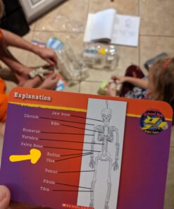 The Magic School Bus:Human Body Lab By Horizon Group USA,Homeschool STEM Kit,Includes Hands-On Educational Manual,Experiment Cards,Plastic Human Skeleton,Data Notebook,Hinge Joint Model & More ,Yellow Human Body 19 817szGaDhL