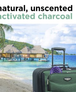 Remodeez Shoe Deodorizer and Odor Eliminator, Natural Coconut, Nontoxic Coconut Activated Charcoal, Natural Air Fresheners, Moisture & Odor Absorber for Shoe (Green, 1-Pair) Footwear Deodorizer (Green, Pair) 24 8180UcJTUFL 2