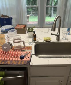 Chef'n Plastic 401-281-004 DishGarden Dish Rack, 14 x 13.25 x 6.5 inches, White/Green 37 8181K uYAtL