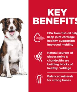 Hill's Science Diet Dry Dog Food, Adult, Large Breed, Healthy Mobility for Joint Health, Chicken Meal, Brown Rice & Barley Recipe, 30 lb. Bag 15 8182Z6UMNXL