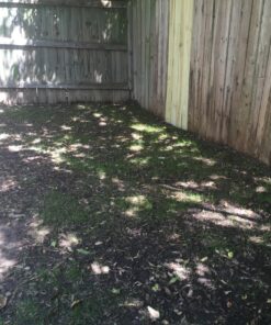 Jonathan Green (10622) Black Beauty Dense Shade Grass Seed - Cool Season Lawn Seed (1 lb) 1 lb 32 8183d jYjcL