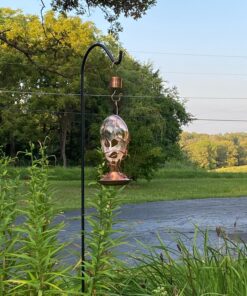 Skinny Ant Moat with Guard for Hummingbird Feeders - Gets Rid of Ants Fast in Nectar Feeder. All Natural & No Chemicals Needed. 39 81867l4QUOL