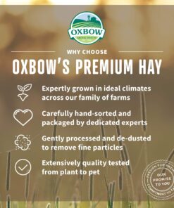 Oxbow Animal Health Western Timothy Hay- Veterinarian Recommended- Hay for Rabbits, Chinchillas, Guinea Pigs & Other Small Pets- Grown in the USA- Premium Quality Natural Hay- Fiber Rich- 40 Oz 2.5 Pound (Pack of 1) 31 8189cSgx1eL