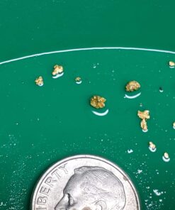 Nugget Reserve Gold Paydirt Clunker Panning Pay Dirt Bag – Gold Prospecting Concentrate 28 8189jHBsfYL