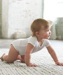 Gerber baby-girls 5-pack Solid Onesies Bodysuits 3-6 Months White 26 818ATjhaqYL