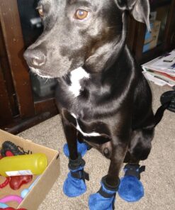 Hipaw Summer Breathable Dog Boots Nonslip Sole Paw Protector for Hardwood Floor XL: Insole Wide 2.83" Blue 21 818Ewb4FXkL