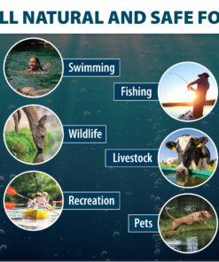 Airmax Pond Dye 4X Concentrate for Outdoor Ponds & Lakes, Natural Pond Colorant & Water Beauty Enhancer, Block Ultraviolet Rays, Fish, Bird & Livestock Safe, Easy Liquid Application, 1 Quart Twilight Blue - 1 Quart 23 818J8ohwswL 1