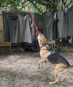 Purina Pro Plan High Protein, Digestive Health Large Breed Dry Dog Food, Chicken and Rice Formula - 34 Lb. Bag Chicken & Rice 34.00 Pound (Pack of 1) 39 818M5B3iokL