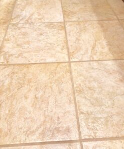 Oreck Commercial Orange Tile & Resilient Floor Scrub Brush for Orbiter Floor Machine ORB550MC, Clean Heavy-Duty Floors, 12 Inch Diameter 0.028 Inch Crimped Polypropelene Bristles, 237047, Orange Orbiter Brush 33 818NNXK9bpL 2