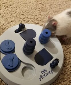 TRIXIE Flip Board Strategy Game, Intermediate Dog Puzzle Toy, Level 2 Activity, Treat Puzzle, Interactive Play, Enrichment Level 2 (Intermediate) 37 818NQCQC kL
