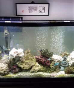 Finnex Planted 24/7 Fully Automated Aquarium LED, 36-Inch Not Controllable 36 Inch 40 818Og1gflL