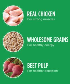 IAMS Adult High Protein Large Breed Dry Dog Food with Real Chicken, 30 lb. Bag 30 Pound (Pack of 1) 26 818TI 04uiL