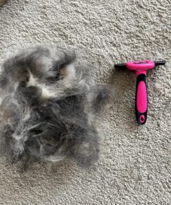 DakPets Pet Deshedding Tool | Professional Cat and Dog Brush for Shedding | Fur Deshedding Brush and Pet Hair Remover for Cats and Dogs | Stainless Steel Cat and Dog Shedding Brush for Pet Grooming Hot Pink 46 818TWZMicL