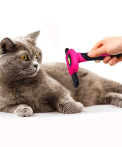 DakPets Pet Deshedding Tool | Professional Cat and Dog Brush for Shedding | Fur Deshedding Brush and Pet Hair Remover for Cats and Dogs | Stainless Steel Cat and Dog Shedding Brush for Pet Grooming Hot Pink 40 818VCOWyNkL