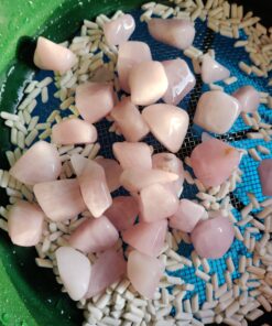 SE 13 1/4 Inch Stackable Classifier Gold Prospecting Pan - 1/8 Inch Stainless Steel Mesh Sifting Pan, Green Pans 27 818VG4gX88L