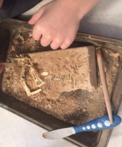 Large Dinosaur Excavation Kit 22 818VGfMrk1L