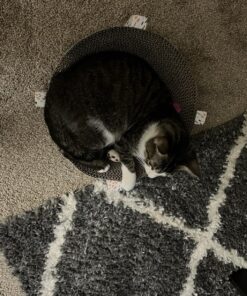 Catstages Scratch, Snuggle & Rest Corrugated Cat Scratcher With Catnip (packaging may vary) Scratch Snuggle & Rest 35 818Wt67DRqL