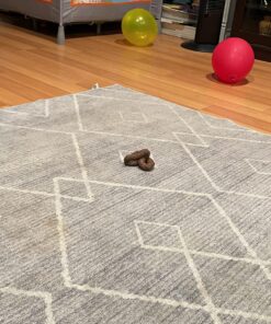 Alternative view of Forum Novelties Fake Chunky Dog Doo Standard