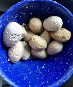 Dig a Dozen Dino Egg Dig Kit for Kids - Dinosaur Toys Gift 3-12 Year Old - 12 Eggs & Surprise Dinosaurs - Science STEM Activities - Educational Boy Toy Party Gifts for Boys & Girls Ages 3-5 4-7 5-7+ 55 818Z8pevCiL