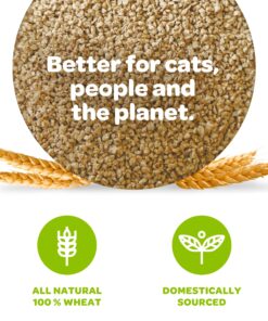 sWheat Scoop Natural Wheat Multi-Cat Litter, Superior Clumping with Odor Neutralizing Enzymes, 25 Pound Bag Multi Cat 14 818b11pKR3L